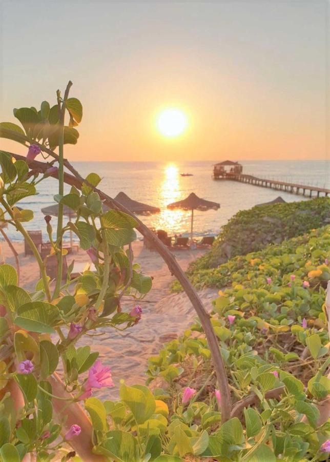 Rohanou Beach Resort El Qoseir Exteriér fotografie