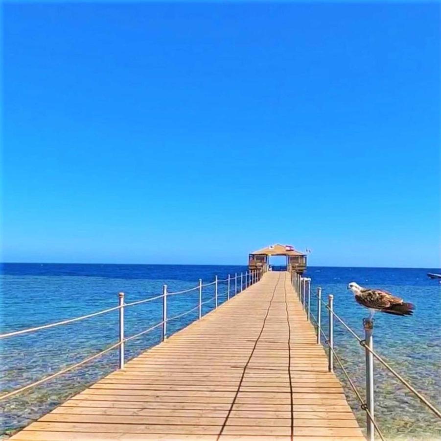 Rohanou Beach Resort El Qoseir Exteriér fotografie